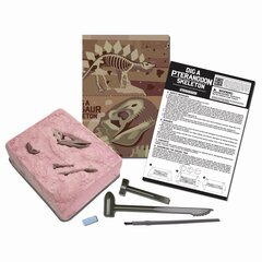 Arkeologinen kaivaussetti 4M Pteranodon hinta ja tiedot | 4M Lapset | hobbyhall.fi