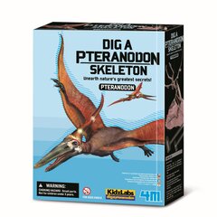 Arkeologinen kaivaussetti 4M Pteranodon hinta ja tiedot | 4M Lapset | hobbyhall.fi