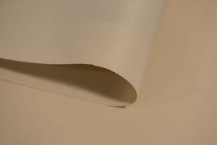Kattokarniisi kolminkertainen PVC -kisko kiinnikkeillä, 150 cm hinta ja tiedot | Rullaverhot | hobbyhall.fi