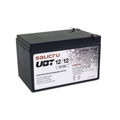 SAI Salicru UBT 12/12 hinta ja tiedot | Salicru Tietokoneet ja pelaaminen | hobbyhall.fi