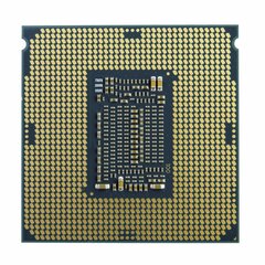 Intel BX80701G6400 hinta ja tiedot | Prosessorit | hobbyhall.fi