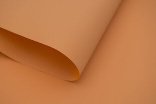 Yksi PVC kisko, jossa kiinnikkeet kattokarniisissa, 400 cm hinta ja tiedot | Rullaverhot | hobbyhall.fi