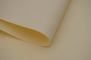 Katon reunuslista, yksi PVC-kisko kiinnikkeillä, 300 cm hinta ja tiedot | Rullaverhot | hobbyhall.fi