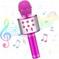 Karaoke-mikrofoni kaiuttimella vaaleanpunainen setti kotelolla hinta ja tiedot | Kehittävät lelut | hobbyhall.fi