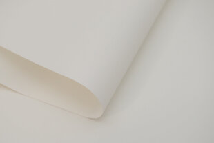 Rullaverho - Dekor 160x170 cm, d-01 valkoinen hinta ja tiedot | Rullaverhot | hobbyhall.fi