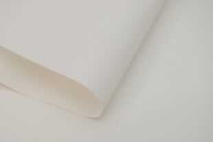 Rullaverho - Dekor 170x170 cm, d-01 valkoinen hinta ja tiedot | Rullaverhot | hobbyhall.fi
