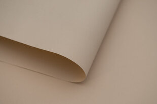 Rullaverho - Dekor 110x170 cm, d-20 beige hinta ja tiedot | Rullaverhot | hobbyhall.fi