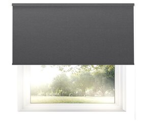 Valonpitävä seinäverho Blackout 200x170 cm, pg-04 harmaa hinta ja tiedot | Rullaverhot | hobbyhall.fi