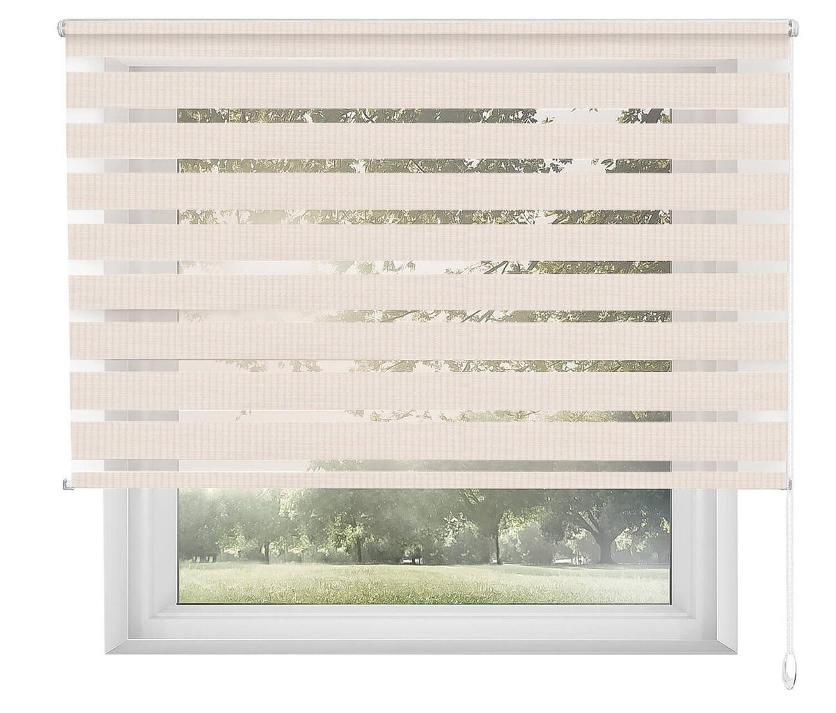 Yö- ja päiväkaihtimet DN-05 Beige, 100x170 cm hinta ja tiedot | Rullaverhot | hobbyhall.fi