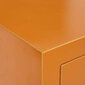 NEW ORIENTAL -lipasto, oranssi, 73 x 26 x 90 cm hinta ja tiedot | Vitriinit | hobbyhall.fi