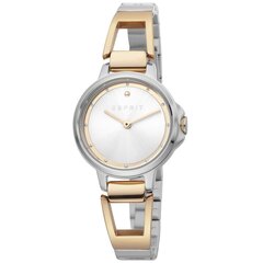 Naisten kello Esprit Brace Stainless Steel Silver hinta ja tiedot | Naisten kellot | hobbyhall.fi