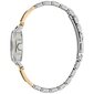 Naisten kello Esprit Brace Stainless Steel Silver hinta ja tiedot | Naisten kellot | hobbyhall.fi