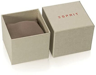 Naisten kello Esprit Breezy Stones Leather Silver hinta ja tiedot | Esprit Naisten asusteet | hobbyhall.fi