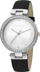 Naisten kello Esprit Breezy Stones Leather Silver hinta ja tiedot | Esprit Naisten asusteet | hobbyhall.fi