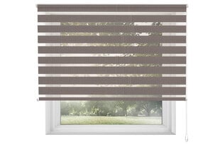 Rullaverho päivä-yö DN-39 HALL, 160x170 cm hinta ja tiedot | Rullaverhot | hobbyhall.fi