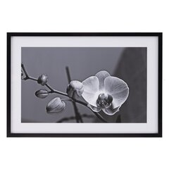Kangas Orkidea 65 x 2 x 95 cm Kukka hinta ja tiedot | Taulut | hobbyhall.fi