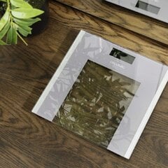 Digitaalinen henkilövaaka Cecotec Surface Precision Healthy (30 x 30 cm) hinta ja tiedot | Kylpyhuoneen sisustus | hobbyhall.fi