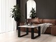 Moderni sohvapöytä, musta/valkoinen hinta ja tiedot | Sohvapöydät | hobbyhall.fi