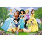 Puzzle 104 kpl XL Super Shape Prinsessoja Puutarhassa, Disney Prinsessat hinta ja tiedot | Palapelit | hobbyhall.fi