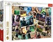 Trefi Harry Potter Heroes -palapeli, 2000 palaa hinta ja tiedot | Palapelit | hobbyhall.fi