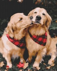 Numeromaalaus 40x50 cm. "Two retrievers" hinta ja tiedot | Maalaa numeroiden mukaan | hobbyhall.fi