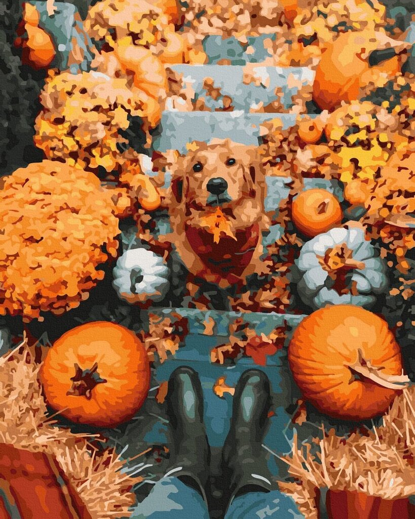 Numeromaalaus 40x50 cm. "Retriever and pumpkins" hinta ja tiedot | Maalaa numeroiden mukaan | hobbyhall.fi