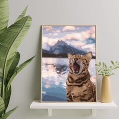 Numeromaalaus 40x50 cm. "Cat on the Beach" hinta ja tiedot | Maalaa numeroiden mukaan | hobbyhall.fi