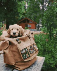 Numeromaalaus 40x50 cm. "Puppy in a backpack" hinta ja tiedot | Maalaa numeroiden mukaan | hobbyhall.fi