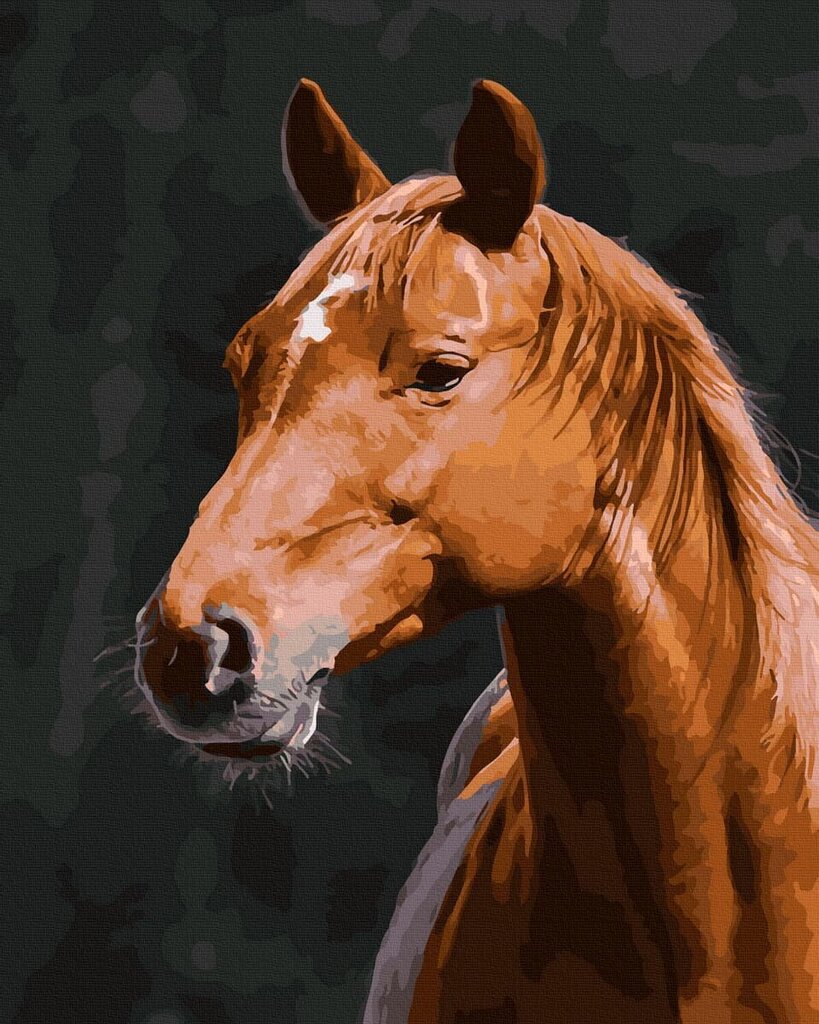 Numeromaalaus 40x50 cm. "Bay Horse" hinta ja tiedot | Maalaa numeroiden mukaan | hobbyhall.fi
