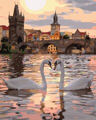 Numeromaalaus 40x50 cm. "Two swans" hinta ja tiedot | Maalaa numeroiden mukaan | hobbyhall.fi