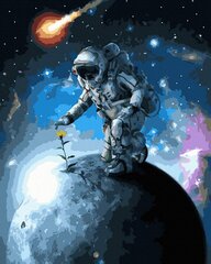 Numeromaalaus 40x50 cm. "An astronaut on the planet" hinta ja tiedot | Maalaa numeroiden mukaan | hobbyhall.fi