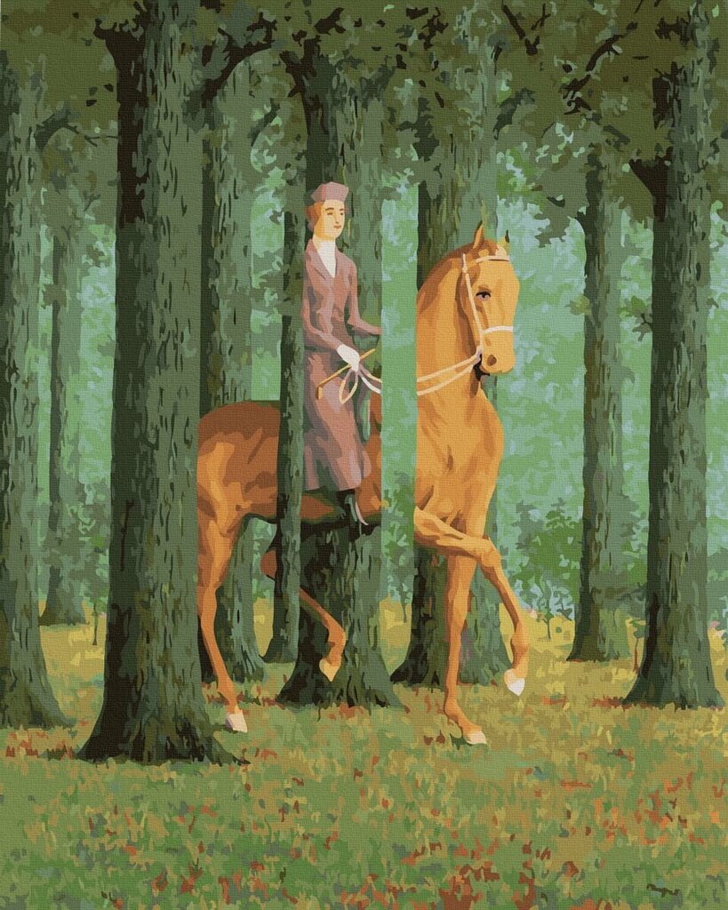 Numeromaalaus 40x50 cm. "A rider on a horse" hinta ja tiedot | Maalaa numeroiden mukaan | hobbyhall.fi