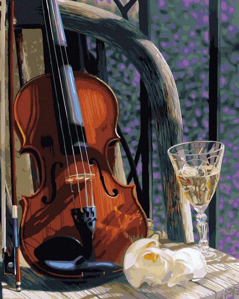 Numeromaalaus 40x50 cm. "Violin and wine" hinta ja tiedot | Maalaa numeroiden mukaan | hobbyhall.fi