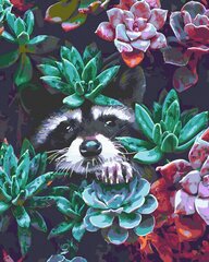 Numeromaalaus 40x50 cm. "Peeping Raccoon" hinta ja tiedot | Maalaa numeroiden mukaan | hobbyhall.fi