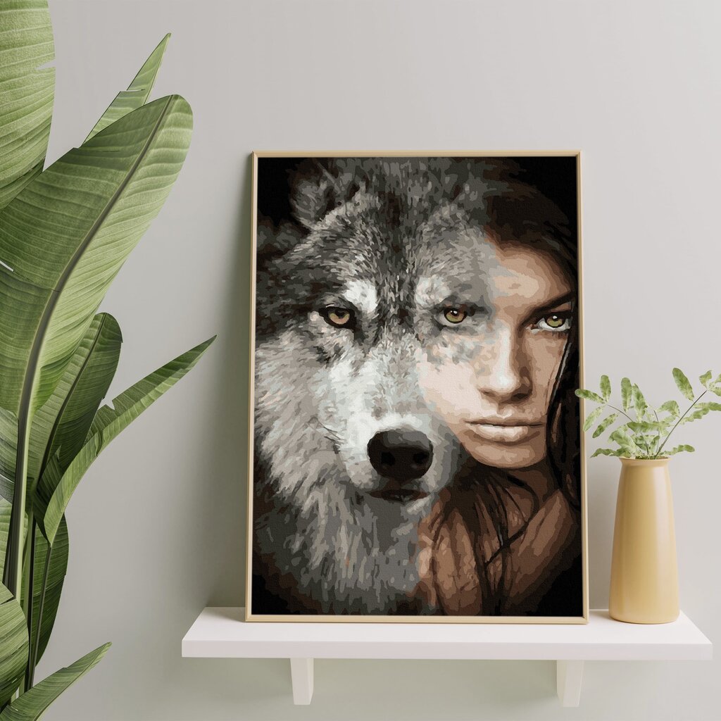 Numeromaalaus 40x50 cm. "Wolf's look" hinta ja tiedot | Maalaa numeroiden mukaan | hobbyhall.fi