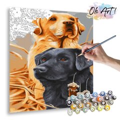 Numeromaalaus 40x50 cm. "A pair of labradors" hinta ja tiedot | Maalaa numeroiden mukaan | hobbyhall.fi