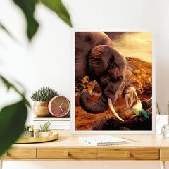 Numeromaalaus 40x50 cm. "Elephant and girl" hinta ja tiedot | Maalaa numeroiden mukaan | hobbyhall.fi
