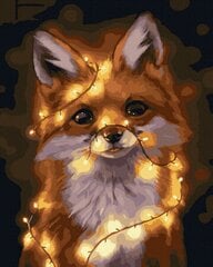 Numeromaalaus 40x50 cm. "Fox with Lights" hinta ja tiedot | Maalaa numeroiden mukaan | hobbyhall.fi