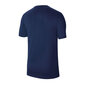 Nike Dri-Fit Park 20 treenipaita hinta ja tiedot | Miesten urheiluvaatteet | hobbyhall.fi