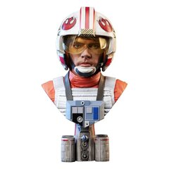 Star Wars IV 3D 1/2 Luke'as Skywalkeris (X-Wing Pilot) hinta ja tiedot | Pelien oheistuotteet | hobbyhall.fi