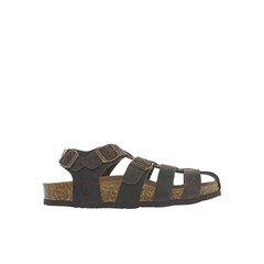 Lumberjack Flint sandaalit, ruskea hinta ja tiedot | Miesten sandaalit ja tossut | hobbyhall.fi
