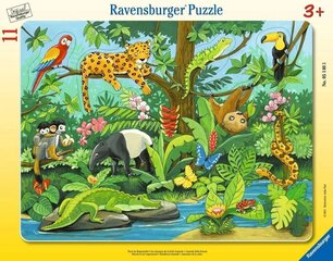 Puzzle 11 osaa Sademetsä Eläimet hinta ja tiedot | Ravensburger Lapset | hobbyhall.fi