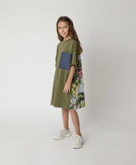 Gulliver-printillä oleva lasten mekko hinta ja tiedot | Tyttöjen mekot | hobbyhall.fi