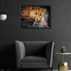 Villi leopardi juliste seinälle - Eläinaiheinen sisustus - Koko: 78 x 50 cm hinta ja tiedot | Sisustustarrat | hobbyhall.fi