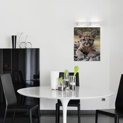 Eläinaiheinen seinäkangas pienellä leopardilla - sisustuselementti lastenhuoneeseen - 40 x 30 cm hinta ja tiedot | Taulut | hobbyhall.fi
