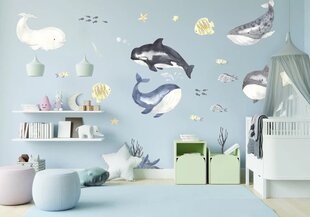 Vinyyli seinätarrat meriteemaan - valtameri, valaat ja kalat - 200 x 200 cm hinta ja tiedot | Sisustustarrat | hobbyhall.fi
