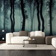 Sumuinen metsä valokuvatapetti - Yöllinen metsäefekti - Sisustus - 390 x 280 cm hinta ja tiedot | Sisustustarrat | hobbyhall.fi