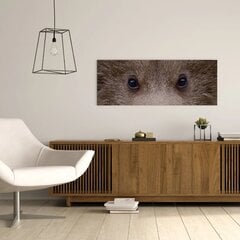 Musta karhun silmät - seinäkangas - 78x30cm - sisustus - taideteos hinta ja tiedot | Taulut | hobbyhall.fi