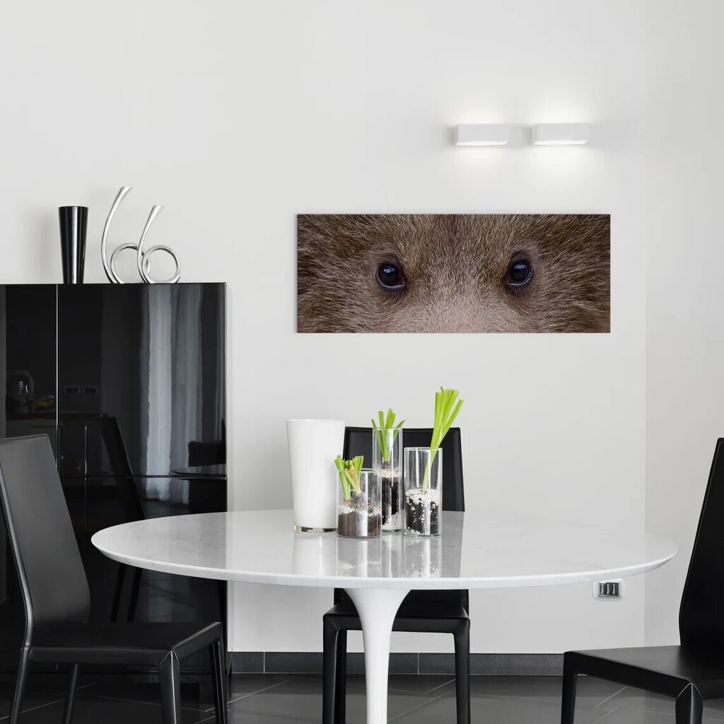 Musta karhun silmät - seinäkangas - 78x30cm - sisustus - taideteos hinta ja tiedot | Taulut | hobbyhall.fi
