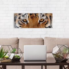 Villisti siperian tiikeri - seinätuloste makuuhuoneeseen, olohuoneeseen ja toimistoon - 78 x 30 cm. hinta ja tiedot | Taulut | hobbyhall.fi